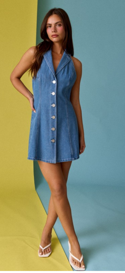 Button Down Denim Dress